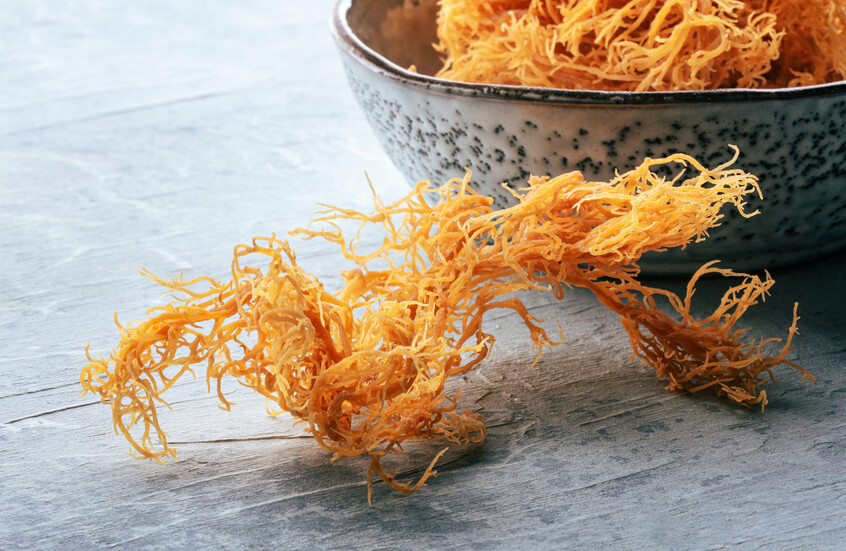 تعتمده بيلا حديد وهايلي بيبر.. ما حقيقة المكمل 