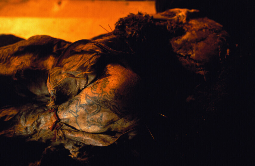 رسومات على ذراع مومياء عمرها 2300 عام تكشف أسرار فن الوشم القديم