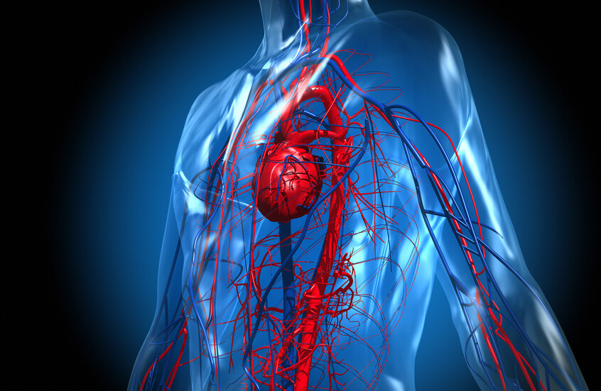 هل تعلم أن عمر قلبك قد يكون أكبر من عمرك؟