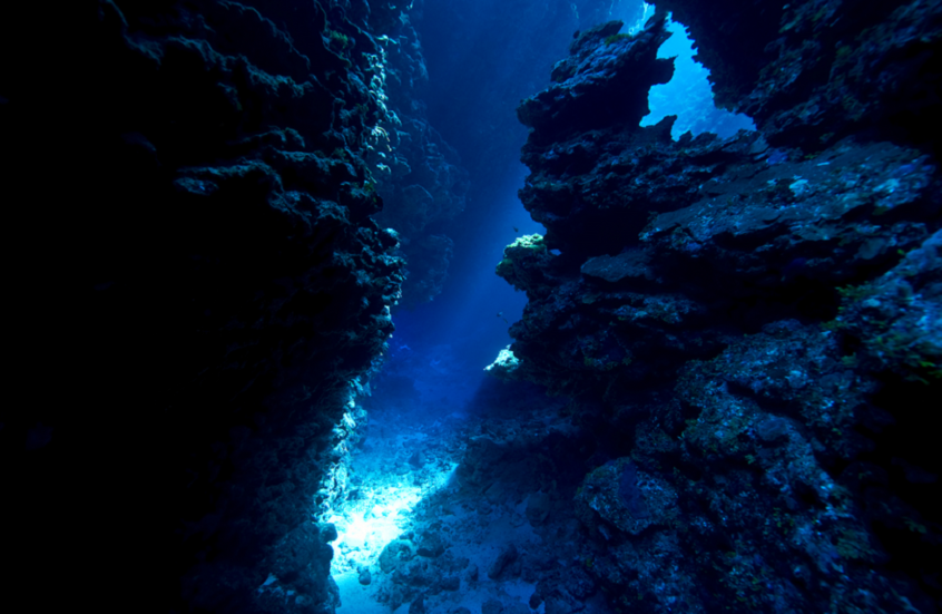 اكتشاف حياة غريبة في أعماق المحيط الهادئ