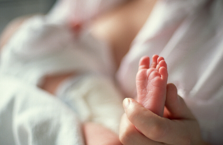 هل قلت وتيرة الإنجاب؟.. مصر تكشف عن عدد مواليدها خلال 2024