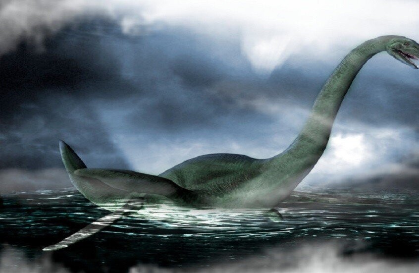 ألمانيا.. اكتشاف أقدم نموذج معروف لـ"بليزوصور" يُعيد رسم خريطة تطور الزواحف البحرية