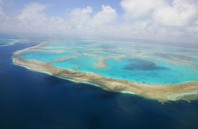 العلماء يدقون ناقوس الخطر بشأن الحاجز المرجاني العظيم