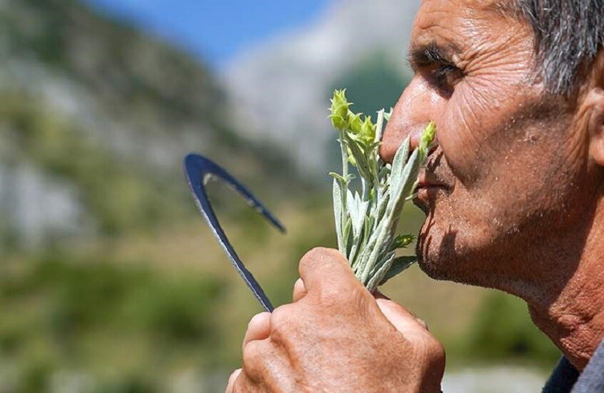 تفضيلك لهذه الرائحة يعني نقص معدن في جسمك