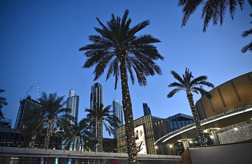 مصدر حكومي إماراتي ينفي مزاعم إغلاق جماعي لحسابات شركات مرتبطة بروسيا