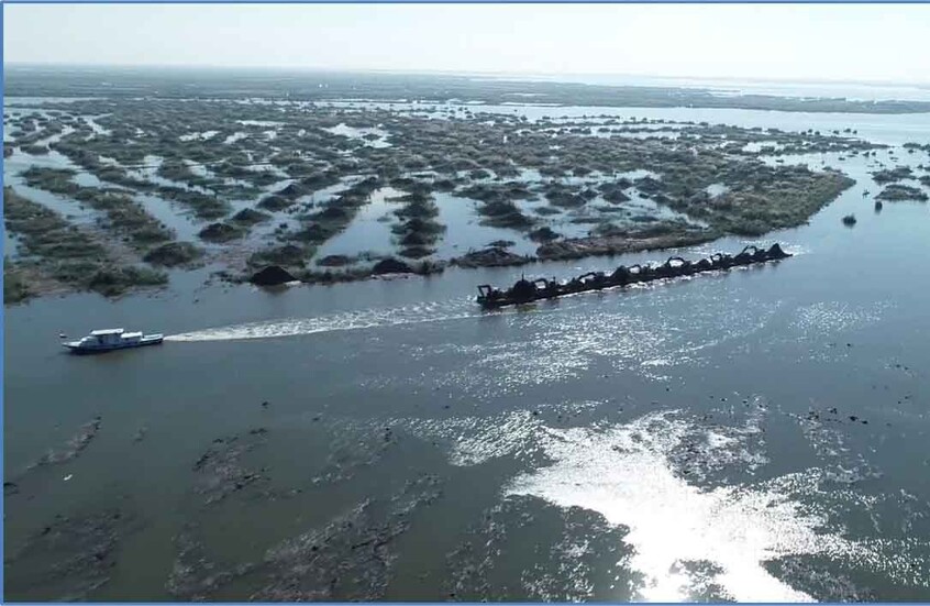 أزمة جديدة في مصر.. نفوق الأسماك في أكبر بحيرة بالبلاد وبيان رسمي حولها