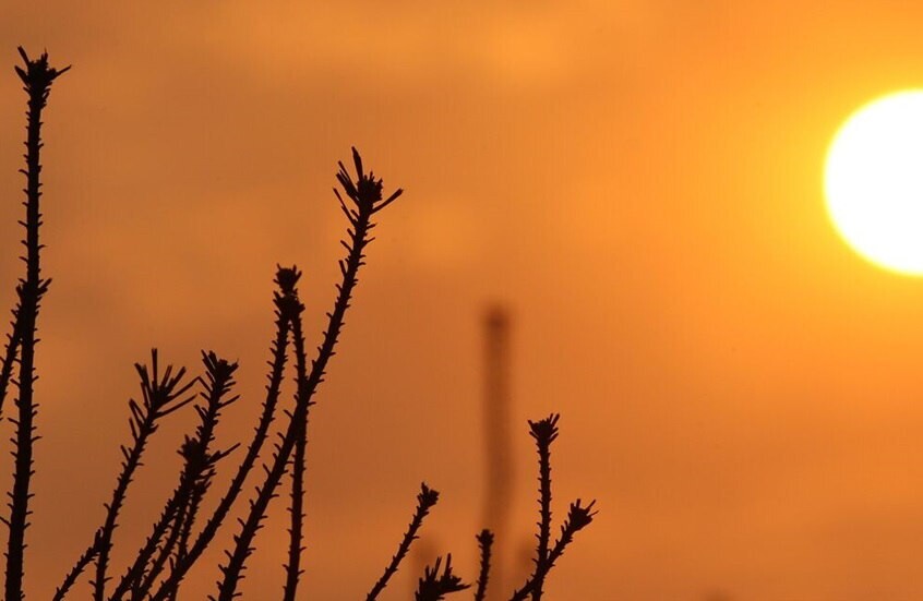 أمريكا وفرنسا تحت وطأة حر غير مسبوق.. أرقام صادمة وتحذيرات عاجلة