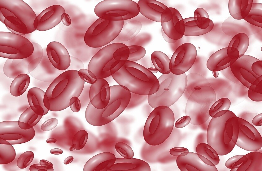 سر اللون الأحمر للدم والأزرق في الأوردة