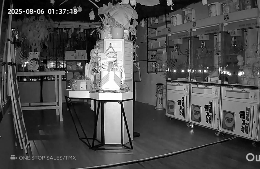 شاهد.. سرقة دمى شهيرة بقيمة 7 آلاف دولار من متجر لوس أنجليس