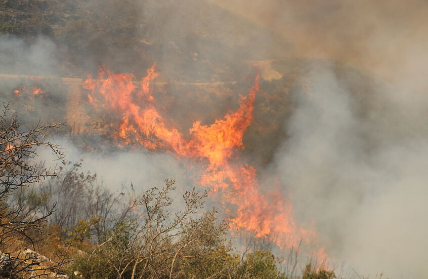 سوريا.. حرائق الغابات تهدد مناطق الساحل ومحافظة حماة