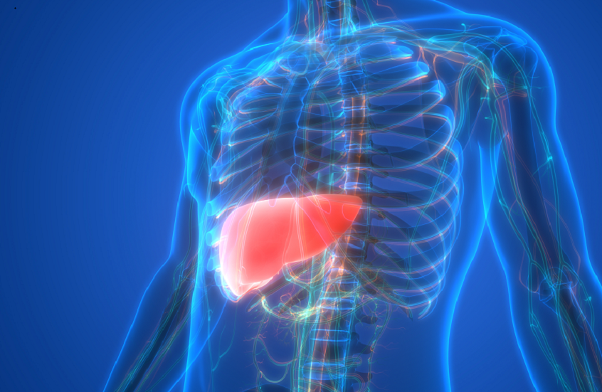 فيروسات يمكن أن تسبب سرطان الكبد