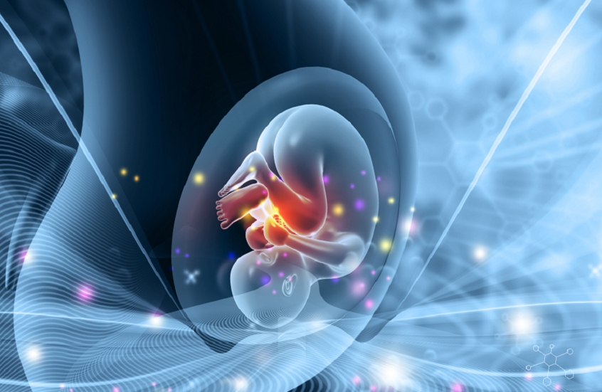 "أول روبوت حامل في العالم".. ابتكار صيني يثير جدلا أخلاقيا