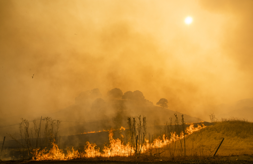 دراسة تكشف المخاطر الحقيقية لدخان حرائق الغابات على الصحة