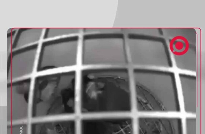 تجربة فريدة.. فئران وذباب في الفضاء على متن مركبة روسية