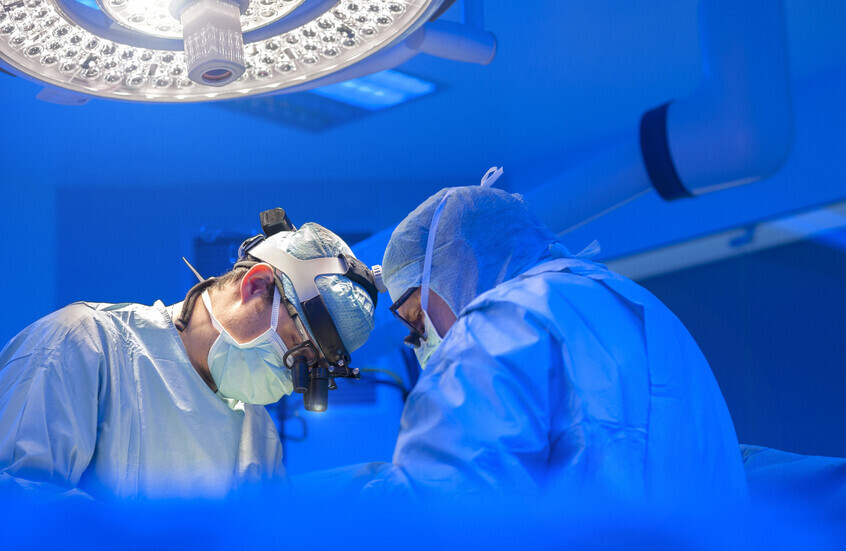 الصين تنجح في إجراء أول عملية زرع رئة خنزير معدل وراثيا في إنسان