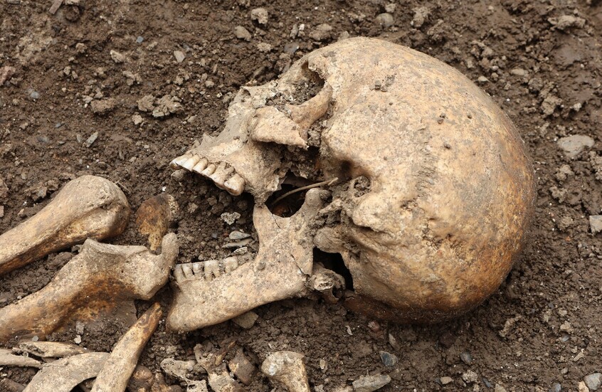 باريس تُسلم مدغشقر ثلاث جماجم لشعب ساكالافا قُطعت رؤوسهم على يد القوات الفرنسية