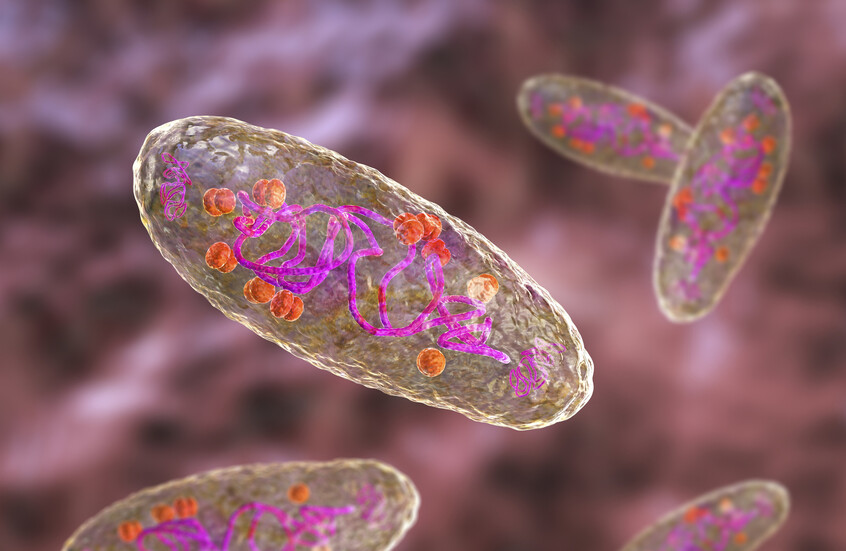 فيديو يوضح رحلة "الموت الأسود" داخل الجسم بتفاصيل مروعة