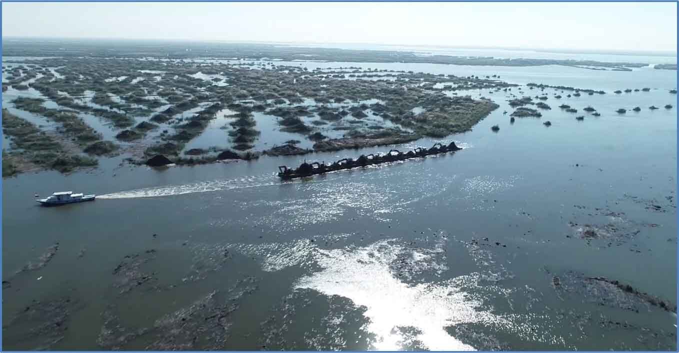 أزمة جديدة في مصر.. نفوق الأسماك في أكبر بحيرة بالبلاد وبيان رسمي حولها