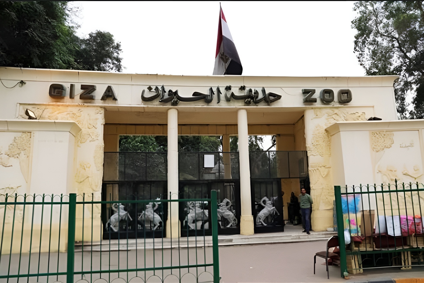 "طبقنا القتل الرحيم".. أزمة في مصر بسبب إعدام حيوانات أكبر حدائقها