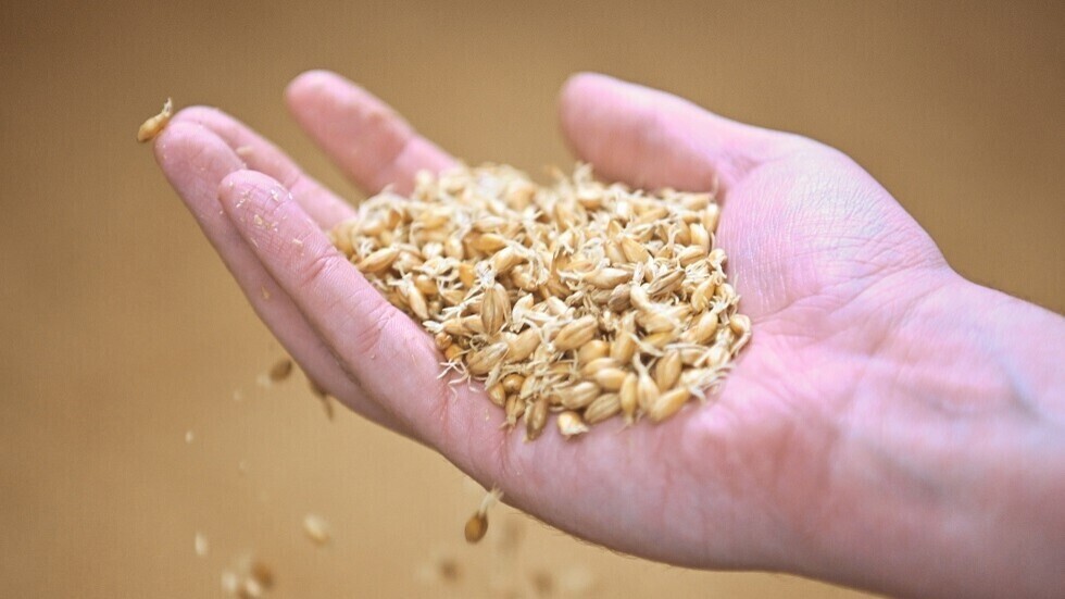 هنغاريا ترفض استئناف استيراد الحبوب الأوكرانية