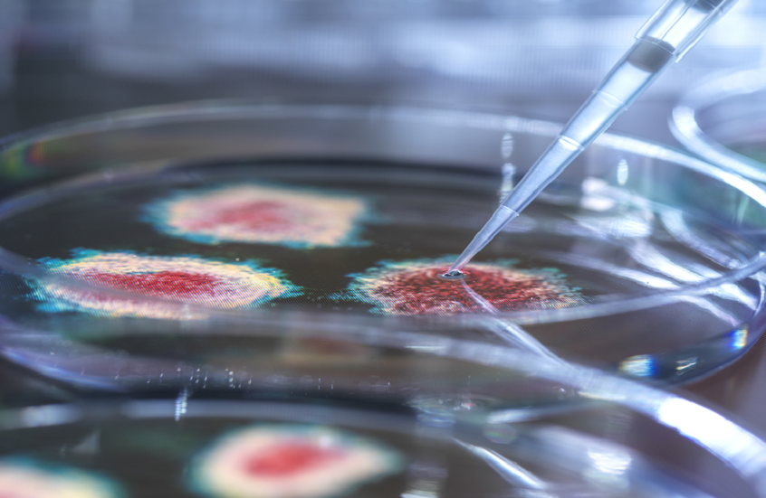 اكتشاف واعد.. مركبات طبيعية تحارب حمى الضنك وتعزز الدم!