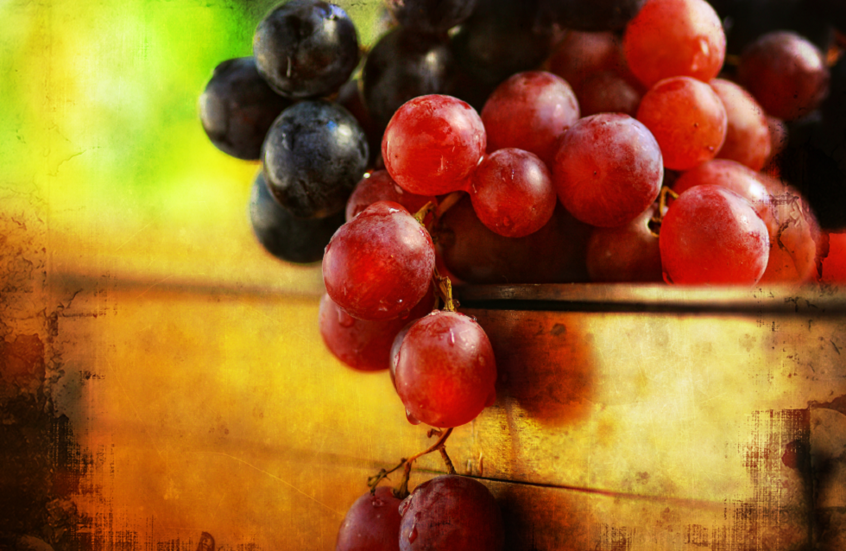 فاكهة جديدة تجمع بين طعم العنب وفوائد التوت الأحمر