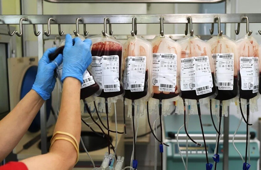 ما هو  "الدم الذهبي" ومن أصحابه؟