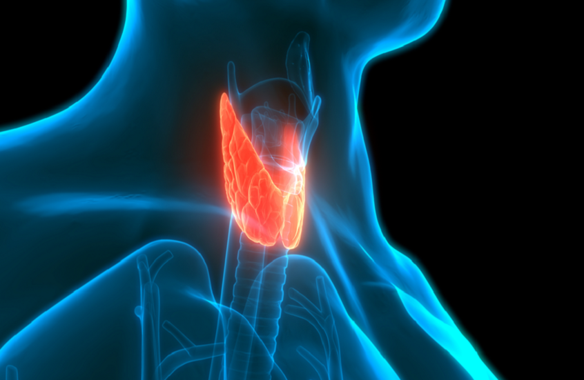 نصائح غذائية مهمة لتخفيف أعراض اضطرابات الغدة الدرقية