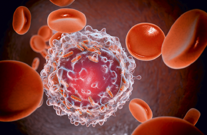 "المبيدات الحشرية".. خطر يهدد حياة الأطفال المصابين بسرطان الدم