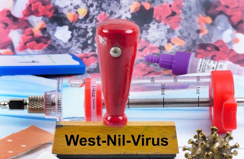 ارتفاع عدد حالات الإصابة بفيروس غرب النيل بنسبة 40% هذا العام في الولايات المتحدة