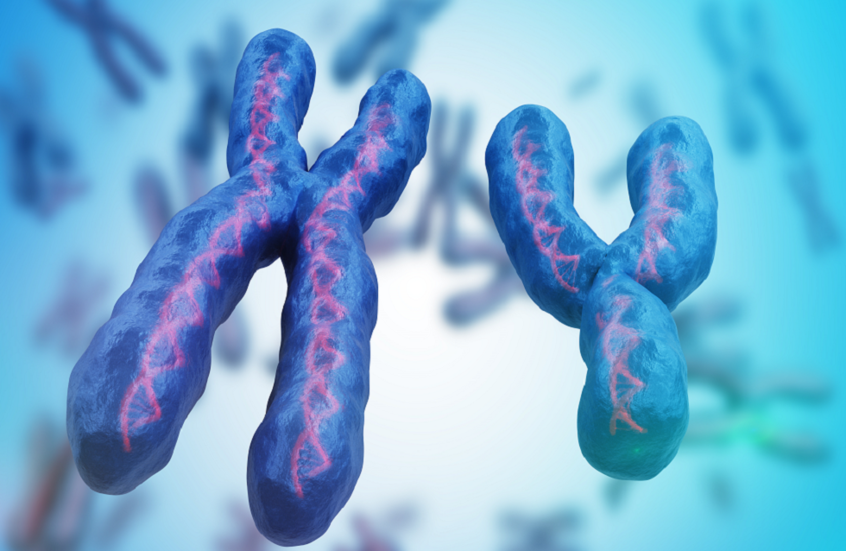 اكتشاف هام.. جين مفقود وراء العقم عند الذكور!
