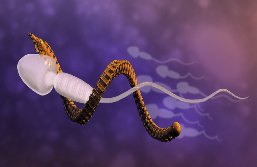 حيوانات منوية روبوتية مبتكرة قد تحدث ثورة في علاج العقم