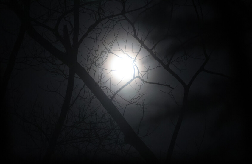 استعد لمشاهدة "قمر الحصاد" العملاق!.. أكبر وألمع بدر لهذا العام