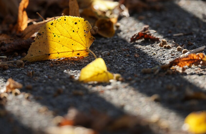 موسكو تسجل جفافا تاريخيا في سبتمبر 2025 وسط توقعات باستمرار "الصيف الهندي"