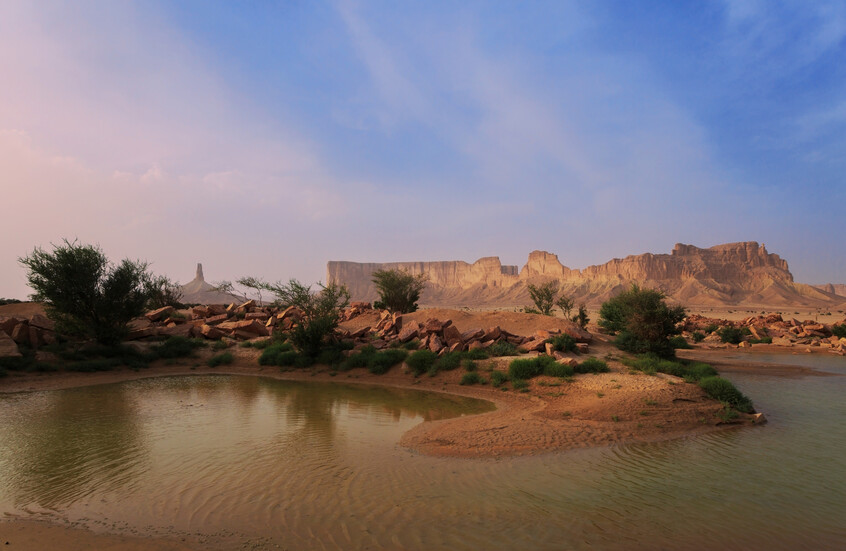 عقب فيديو مثير للجدل.. "الحياة الفطرية" السعودية تصدر بيانا وتوضيحا (فيديو)