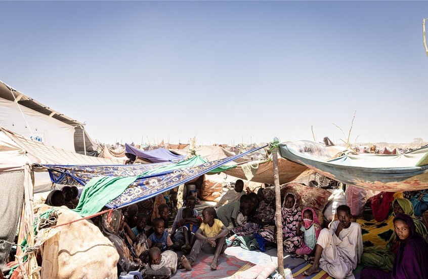 "نيويورك تايمز": سكان الفاشر السودانية يقتاتون على علف الحيوانات وسط المجاعة