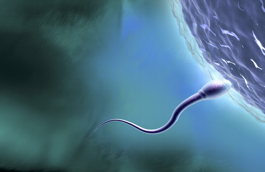 انخفاض خصوبة الرجال إلى النصف خلال 30 عاما!.. خبراء يحددون الأسباب والحلول