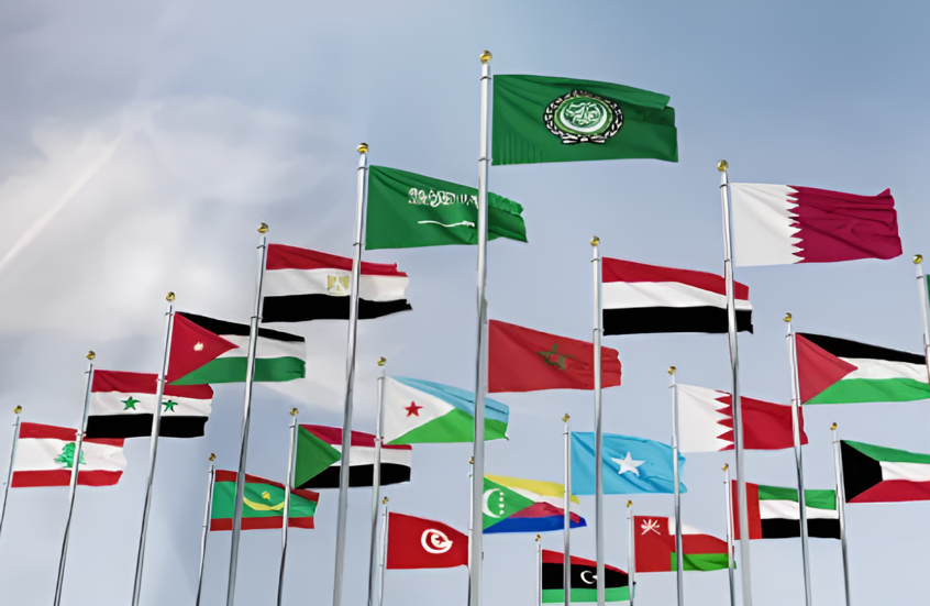 لماذا لم يطرح السيسي تشكيل قوة عربية مشتركة أمام قمة الدوحة.. وزير خارجية مصر السابق يكشف لـ RT