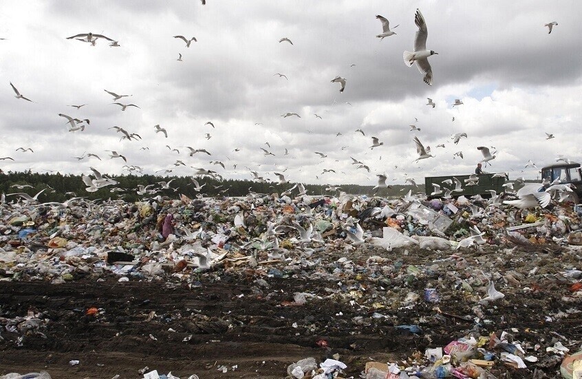 الصين تعاني نقصا في القمامة