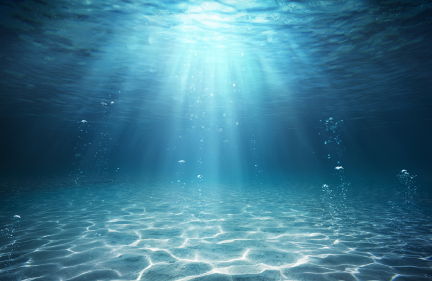 ابتسامة غريبة من أعماق البحر.. اكتشافات جديدة في عالم أسماك الحلزون!