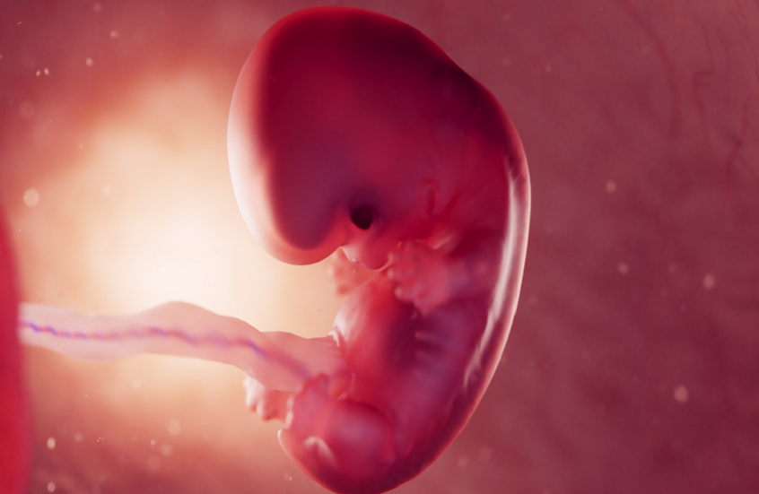 ثورة طبية.. طباعة أول مشيمة ثلاثية الأبعاد في العالم لكشف مخاطر الحمل