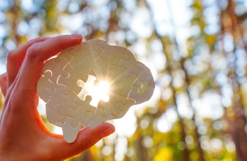 تأثير التجارب الاجتماعية على صحة الدماغ وخطر الخرف