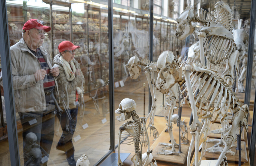 سرقة عينات من الذهب بقيمة 700 ألف دولار من متحف في باريس