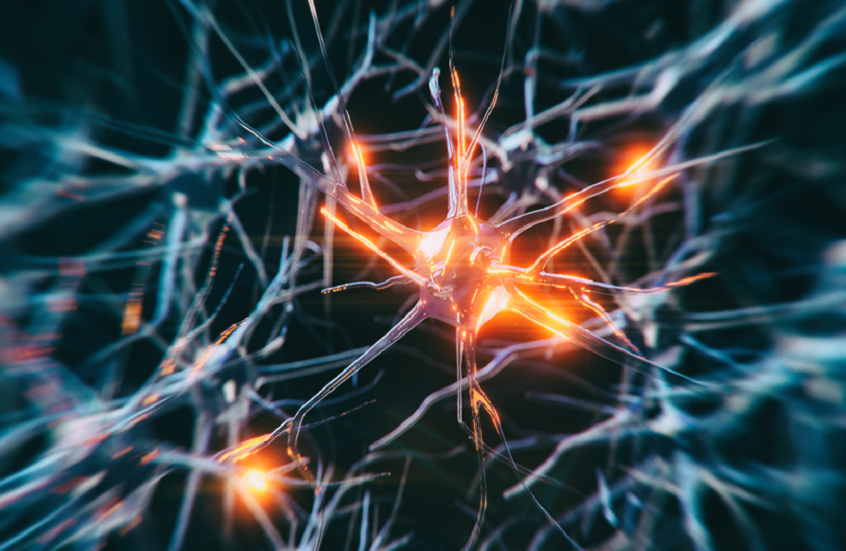 إضافة غذائية شائعة قد تكون مفتاح علاج أمراض عصبية مزمنة