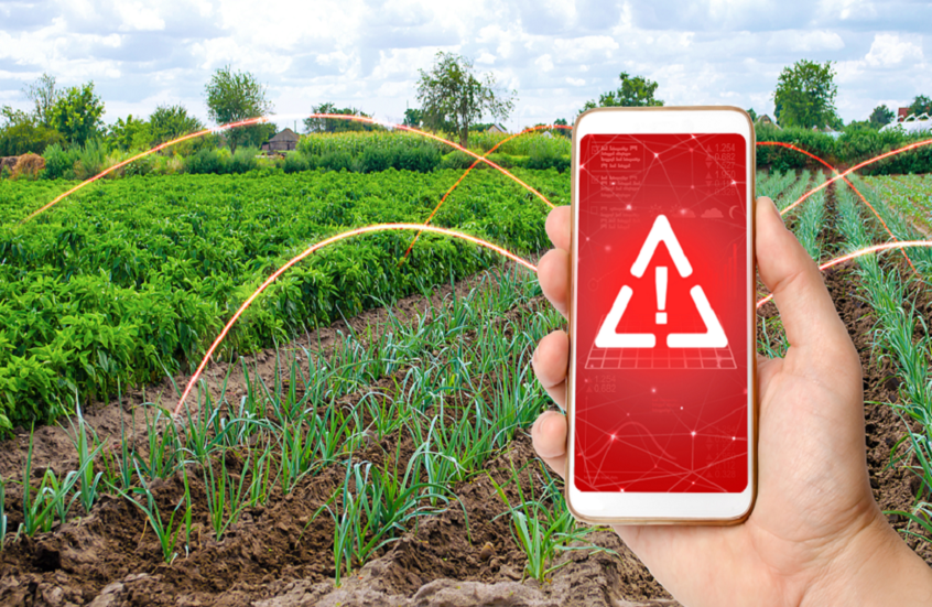 خطر صامت في أطباقنا.. بلاستيك مجهري يتسلل إلى الخضراوات ويهدد الصحة!