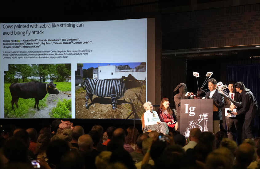 جوائز "إيج نوبل" للحماقة.. تكريم دراسات مضحكة بحفل في بوسطن (صور)