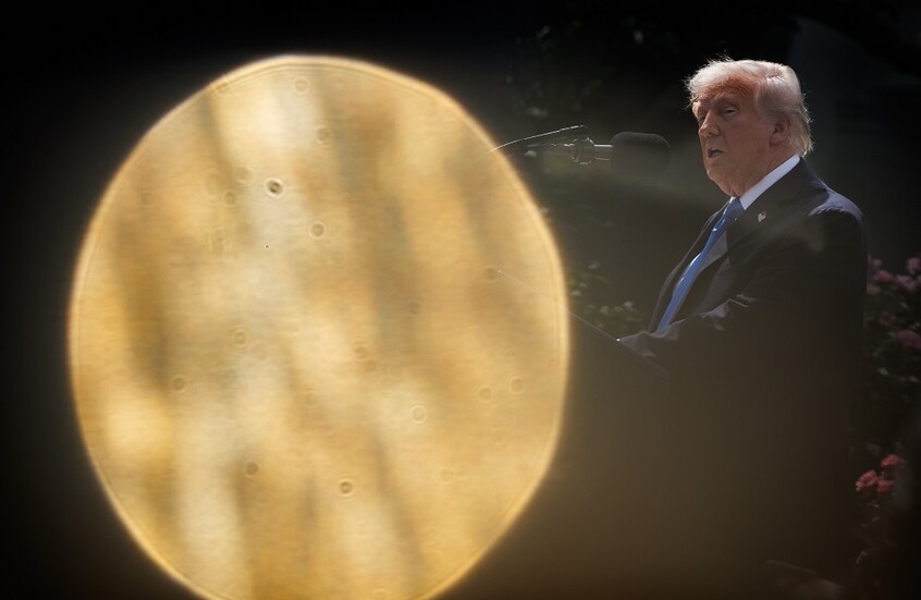 خبير يعلق على تصريح ترامب حول "جني الأموال من النزاع الأوكراني": على أوروبا إنفاق المال الذي "ينفد"