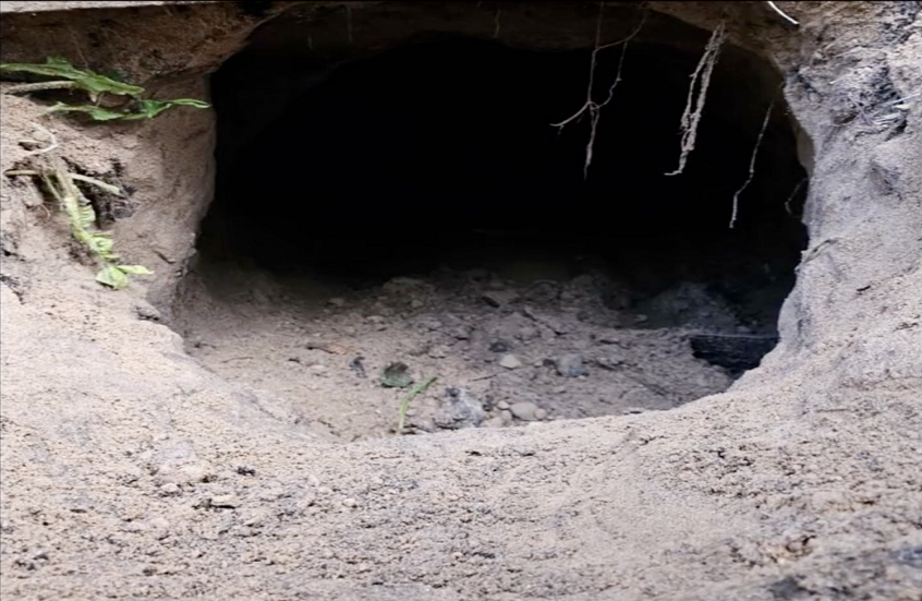 "عبر نفق".. حرس الحدود البولندي يحبط محاولة هجرة غير شرعية شمال شرق البلاد (فيديو)