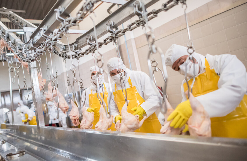 السعودية.. إغلاق خطوط إنتاج 5 مصانع لحوم ودواجن بسبب تجاوزات ميكروبية خطيرة