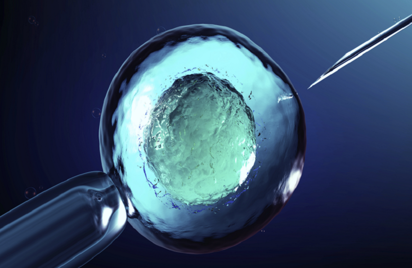 الولادة العذرية تثير الجدل العلمي والأخلاقي حول مستقبل الإنجاب